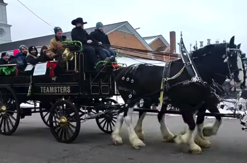 Lebanon Horse Drawn Carriage Parade